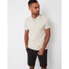 Polo Shirt Regular Fit Short Sleeve