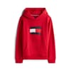 Flag Hoodie Jn54