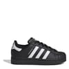 Superstar Low Top Shell Toe Sneakers