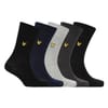 5 Pack Core Crew Socks