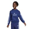 Juniors House Of Tiro Fleece Hoodie