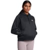 Armour Fleece Pro Hoodie
