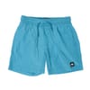 Junior Badge Swim Shorts