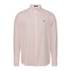 Regular Fit Collared Neck Long Sleeve Shirt