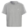 Womens 3s Crop T-Shirt