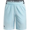 Vanish Shorts