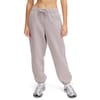 Icon Hwt Fleece Jog