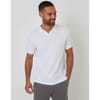 Collared Neck Short Sleeve Regular Fit Polo Shirt
