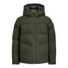 Global Puffer Jn61