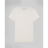 Plain Fitted T
