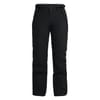 Regular Fit Solid Patterned Ski Pants