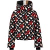Ski Jacket