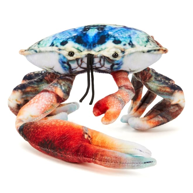 Fiddler Crab Soft Toy 20cm