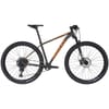 Ignite A 29 Sram Nx Hardtail Mountain Bike
