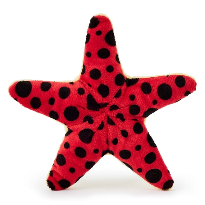 Starfish Red  And  Black Soft Toy 9 cm