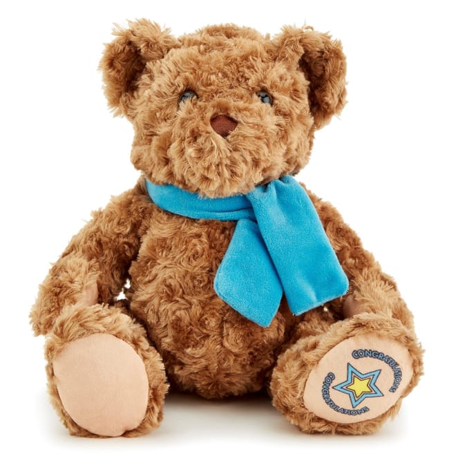 Congratulations Classic Bear Soft Toy 25 cm