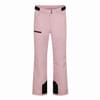 Powder Solid Patterned Ski Pants