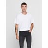 Matt Longy Short Sleeve T-Shirt