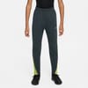 Acad Ww Pant Jn54