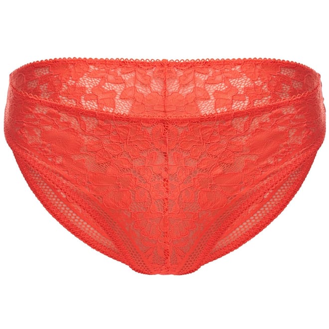 Straight Laced Bikini Brief