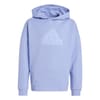 Kids Hooded Neck Logo Sweatshirt