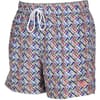 Beach Shorts Allover