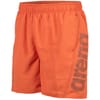 Fundamentals Logo R Beach Boxer