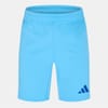 T24 P Gk Shorts