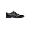 Kensington Derby Shoes
