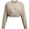 Rival Terry Crew Cropped Sweatshirt