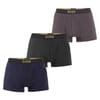 Logo 3 Pack Trunks