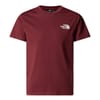 Simple Dome Regular Fit T-Shirt Juniors