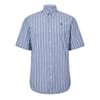 Striped Short Sleeve Shirt Dark Den