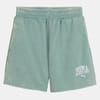 Class 5 Inch Washed Shorts