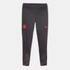 Manchester City Fc Training Pant