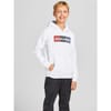 Corp Logo Hoodie Junior Boys