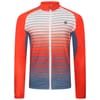 Athletic Mock Neck Slim Fit Top