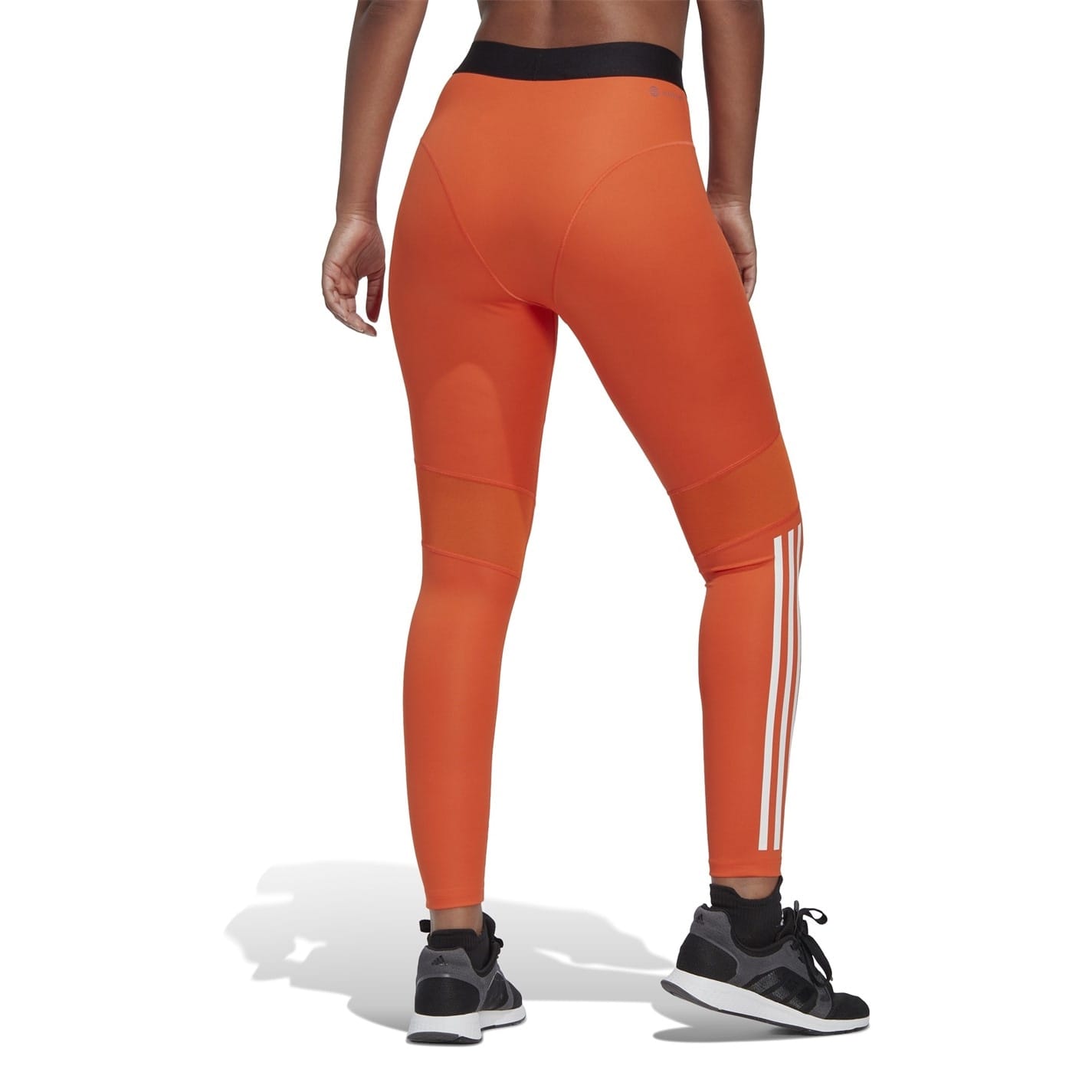 Orange adidas leggings online