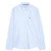 Plain Oxford Shirt