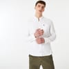 Plain Oxford Shirt