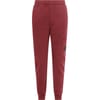 Boys Lens Fleece Jogging Bottoms