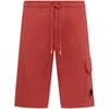 Micro Lens Fleece Shorts