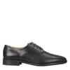Derby Shoe