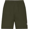 Chrome Swim Shorts
