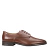 Derby Shoe