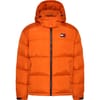 Hooded Alaska Long Puffer Coat