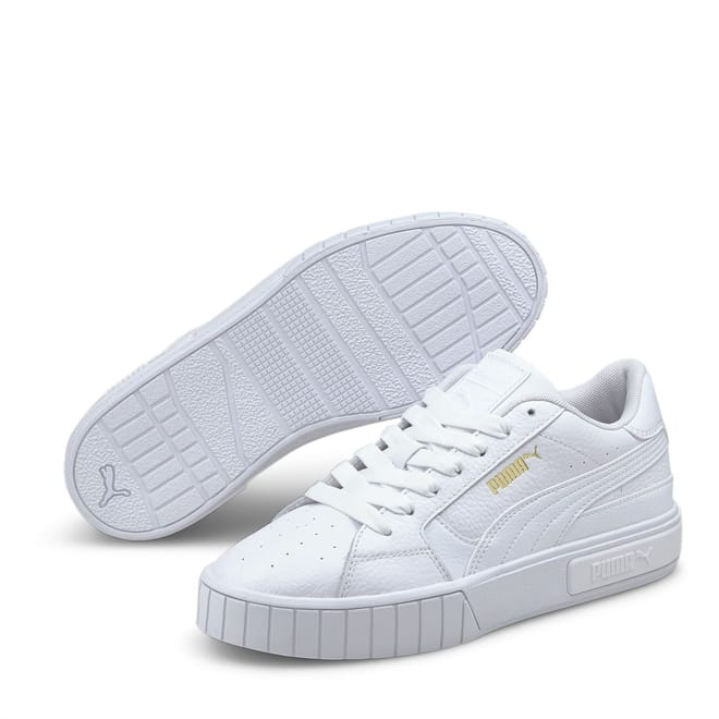 Star Trainers