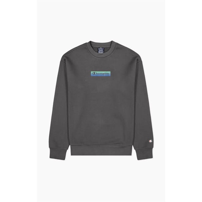 Crew Neck Regular Fit Sweatshirt