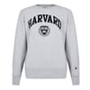Crew Neck Lettering Sweatshirt