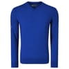 Mens V Neck Sweatshirt